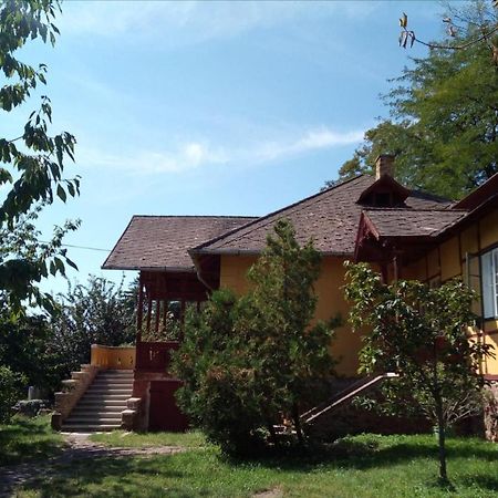 Villa Kundalini 巴拉顿诺尔马迪 外观 照片