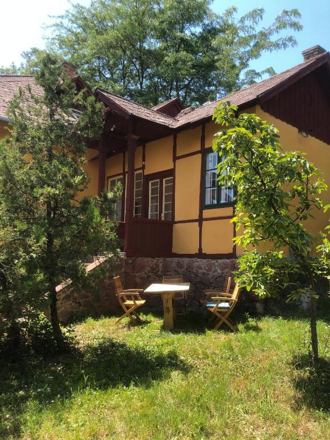 Villa Kundalini 巴拉顿诺尔马迪 外观 照片