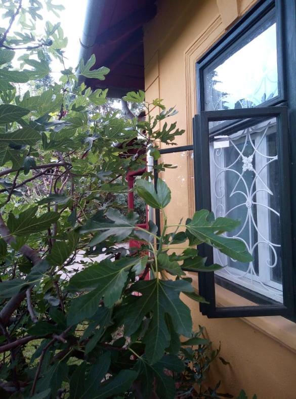 Villa Kundalini 巴拉顿诺尔马迪 外观 照片
