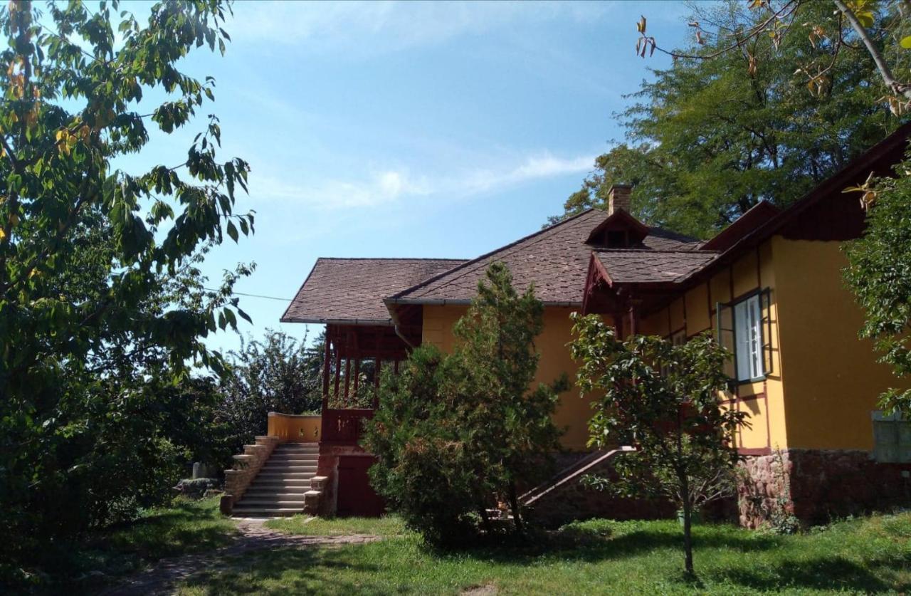Villa Kundalini 巴拉顿诺尔马迪 外观 照片